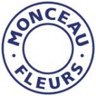 Monceau Fleurs Amiens